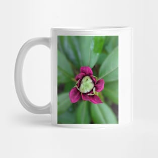 Flower Bud Photographic Image Mug